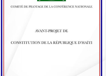 Constitution, comité de pilotage : entre amendement et bricolage