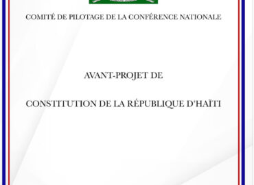 Constitution, comité de pilotage : entre amendement et bricolage