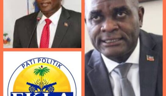 Régularisation des partis politiques : que faire de nos particules ? 