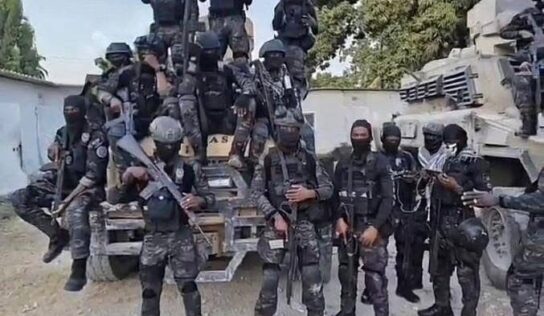 Topolino, lapolis se job sèkèy