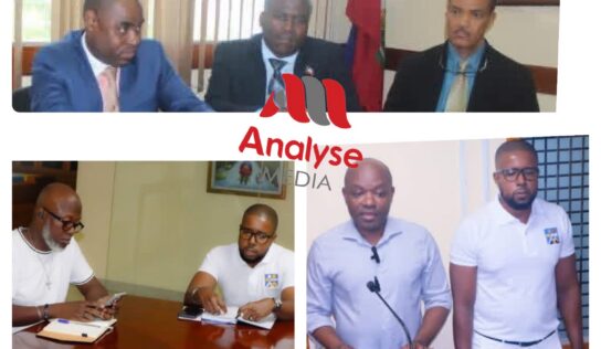 Quand l&rsquo;alerte du CNSA rend heureux le duo inutile Collin-Alain