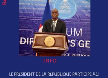 Que font ces directeurs généraux à leurs postes?