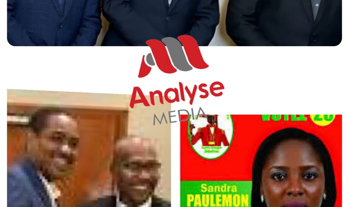 Les stratégies de repositionnement politiques à l’ONA