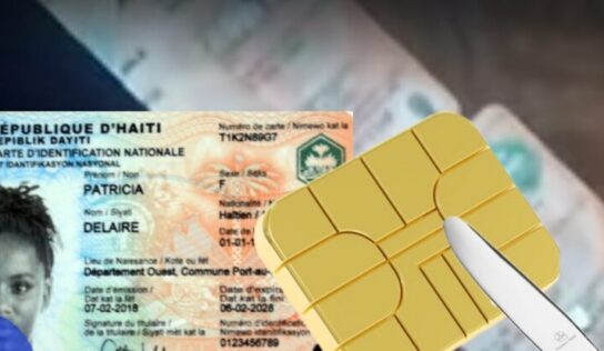 Retour de la carte Dermalog par les urnes : paradoxe de la classe politique